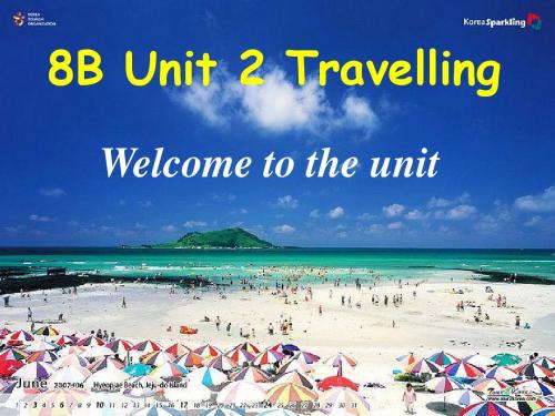 牛津译林8B_Unit_2_Welcome_to_the_unit