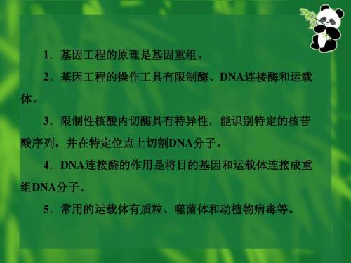 生物(人教版)必修2课件：6-2 基因工程及其应用