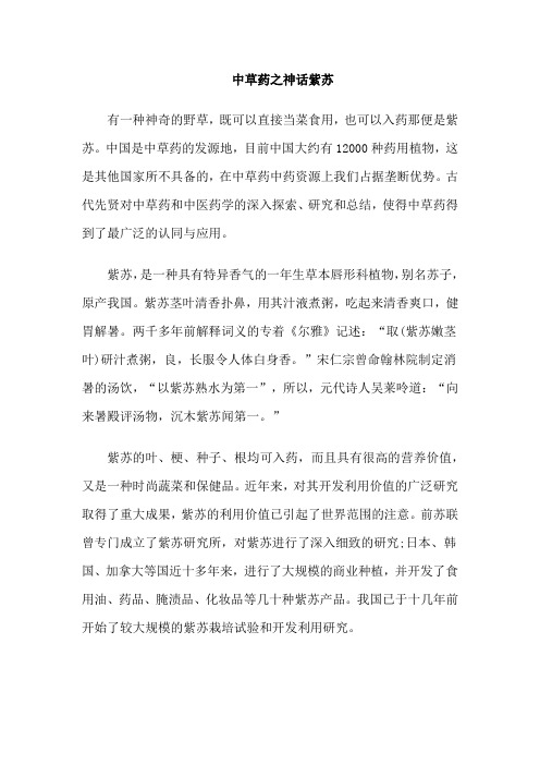 中草药之神话紫苏