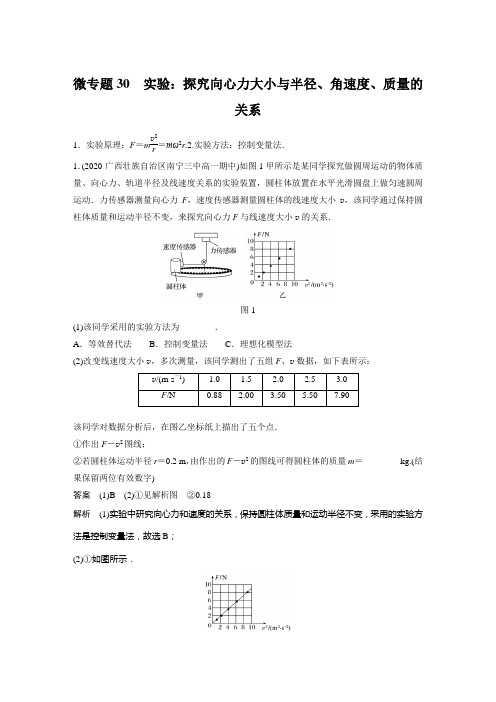 微专题30 实验：探究向心力大小与半径、角速度、质量的关系