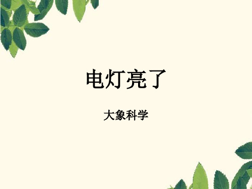 大象版科学三年级下册 第五单元《电灯亮了》课件3