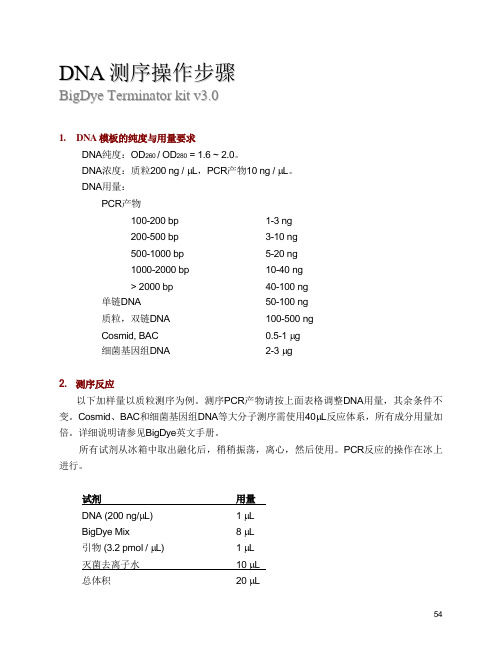 DNA测序操作步骤