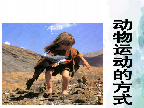 北师大版生物-八年级上册-第十五章 第一节 动物运动的方式课件