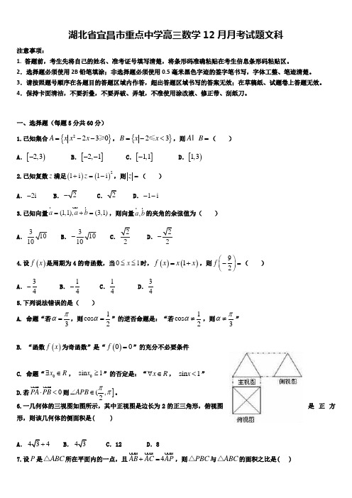 湖北省宜昌市重点中学高三数学12月月考试题文科