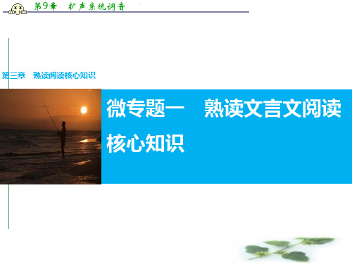高考语文(全国专用)大二轮总复习与增分策略配套课件：第三章微专题一  熟读文言文阅读核心知识