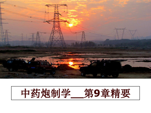 最新中药炮制学__第9章精要PPT课件