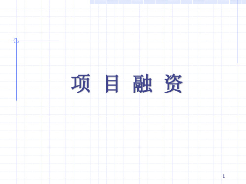 项目融资及项目贷款评估方法简介.ppt