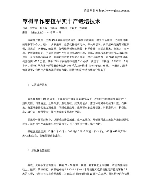 枣树旱作密植早实丰产栽培技术