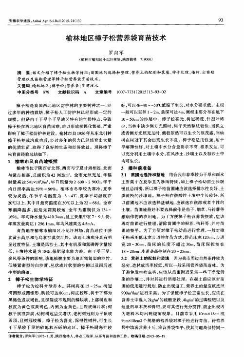 榆林地区樟子松营养袋育苗技术