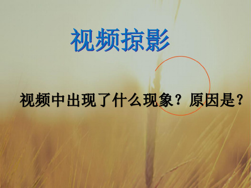 广东省廉江市实验学校高中政治必修一课件：2-1影响价格的因素 共28张 精品