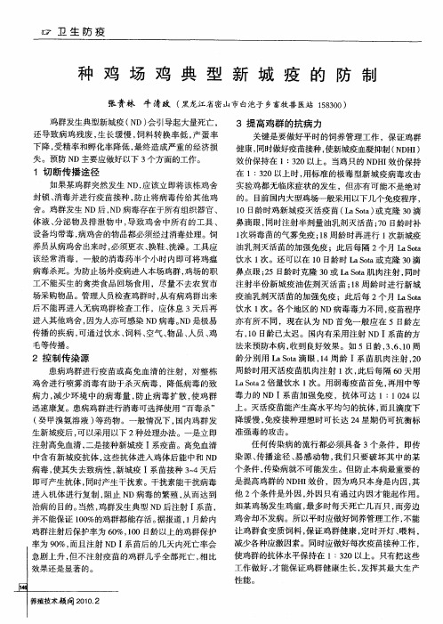 种鸡场鸡典型新城疫的防制