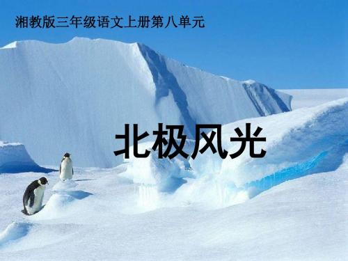 三年级语文上册第八单元北极风光PPT课件3湘教版