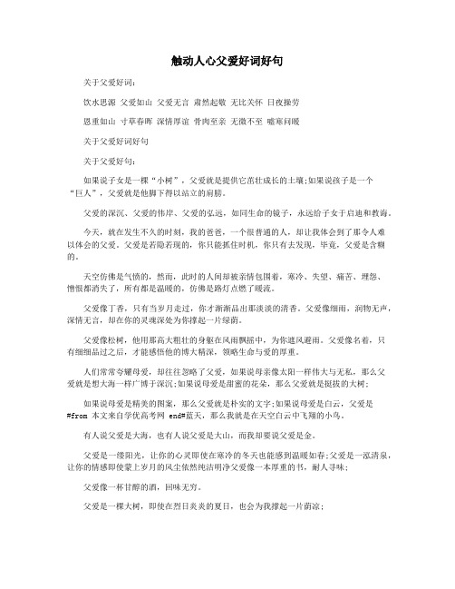 触动人心父爱好词好句