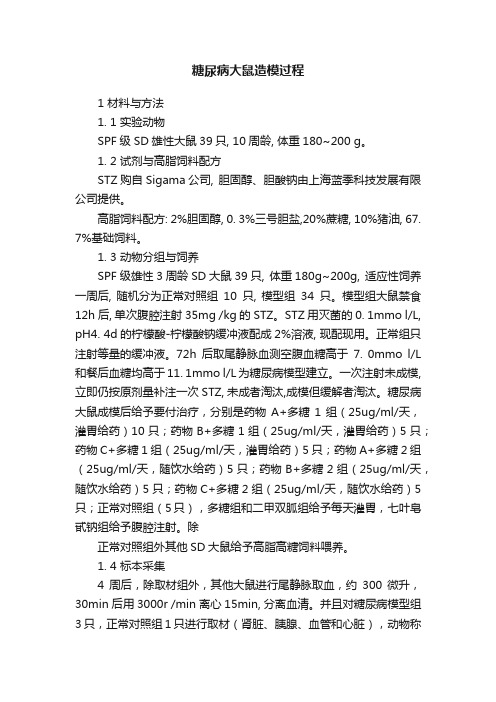 糖尿病大鼠造模过程