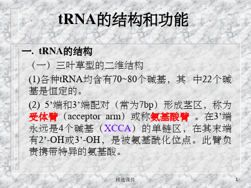 tRNA的结构和功能