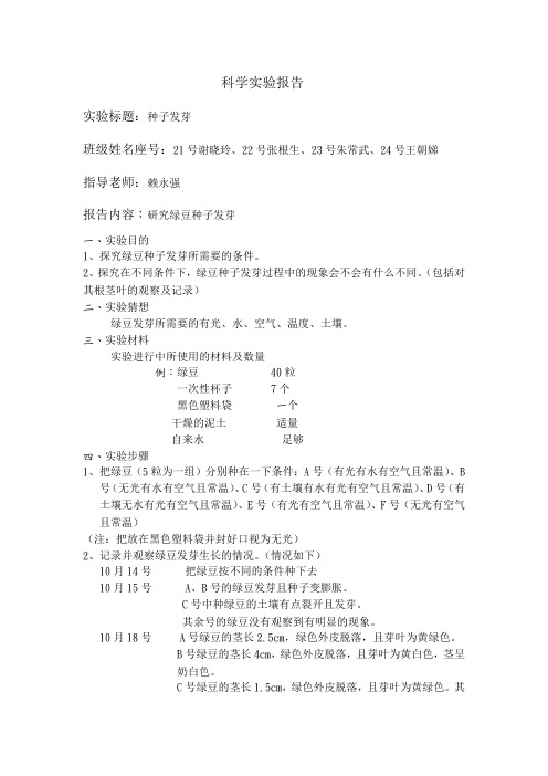 第六组绿豆发芽的探究报告