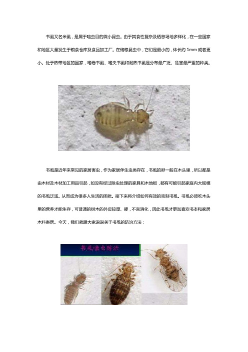 书虱(米虱)怎么简单消灭