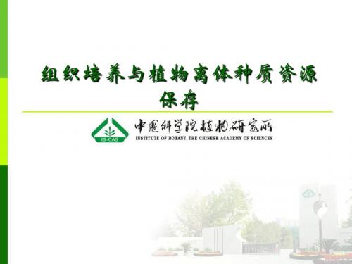 组织培养与植物离体种质资源保存