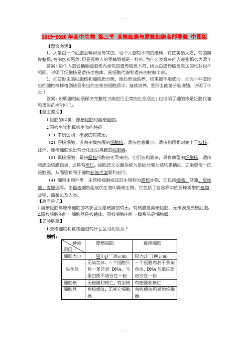 2019-2020年高中生物 第三节 真核细胞与原核细胞名师导航 中图版