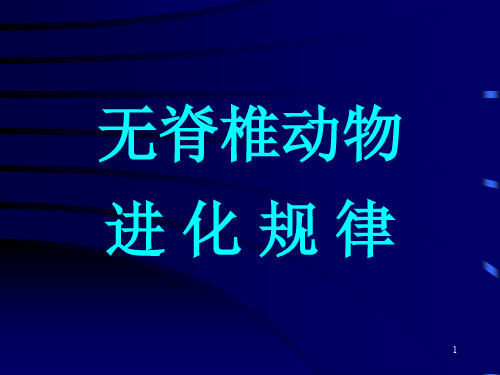 动物进化规律9pp