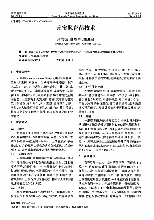 元宝枫育苗技术