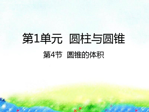六年级下册数学课件-1.4圆锥的体积北师大版(2014秋) (共31张PPT)