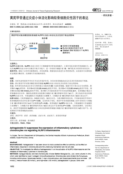黄芪甲苷通过炎症小体活化影响软骨细胞炎性因子的表达
