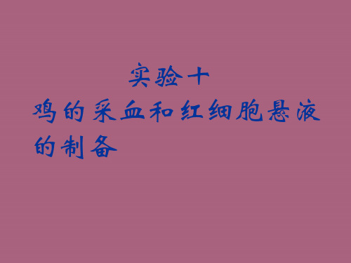 实验十鸡的采血和红细胞制备ppt课件