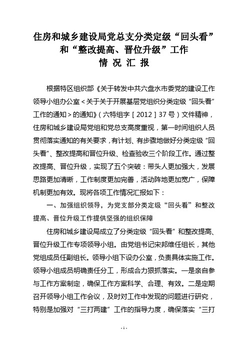 回头看和整改提高、晋位升级工作情况汇报