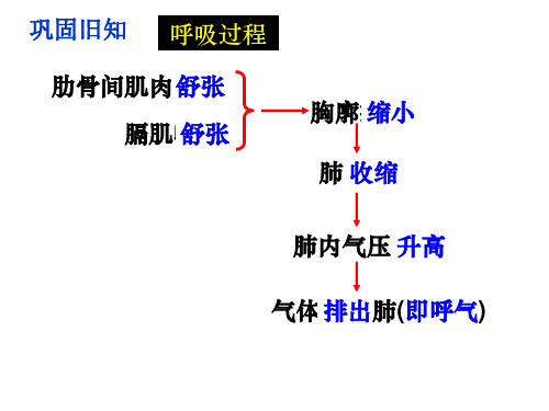 人教版七年级生物下册第一节_流动的组织——血液(共28张PPT)