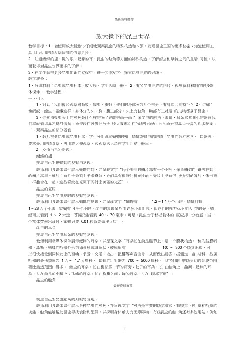 小学六年级科学下册放大镜下的昆虫世界名师教案教科版