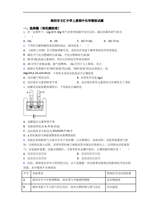 深圳市文汇中学上册期中初三化学模拟试题