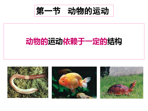 鲁科版 八年级生物上    第一节 动物的运动课件(共14张)