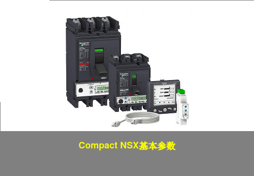 施耐德塑壳断路器NS基本参数