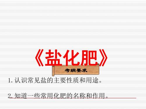 【人教版】九年级化学第十一单元《盐 化肥》复习教学课件(31张PPT)