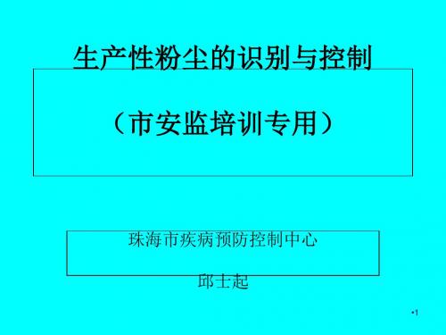 生产性粉尘的识别与控制培训课件(ppt 110页)