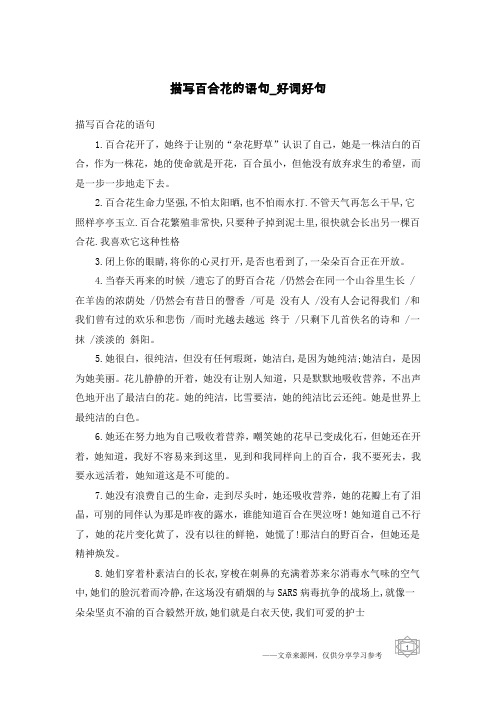 描写百合花的语句-好词好句