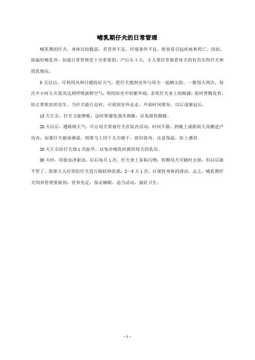 哺乳期仔犬的日常管理