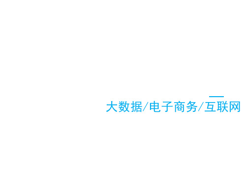 互联网大数据电子商务PPT模板2.ppt