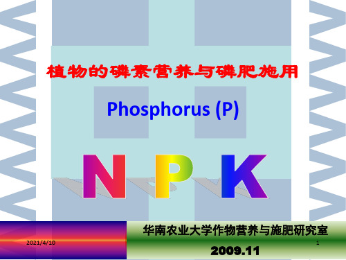 磷素营养与磷肥施用