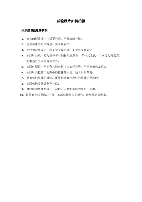 植株照片的拍摄