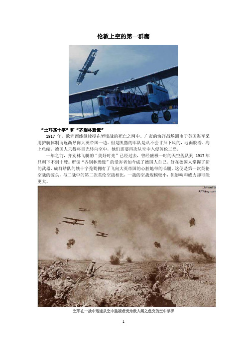 伦敦上空的第一群鹰