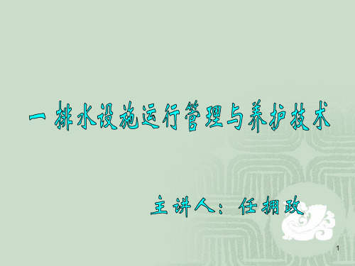 排水设施运行管理与养护