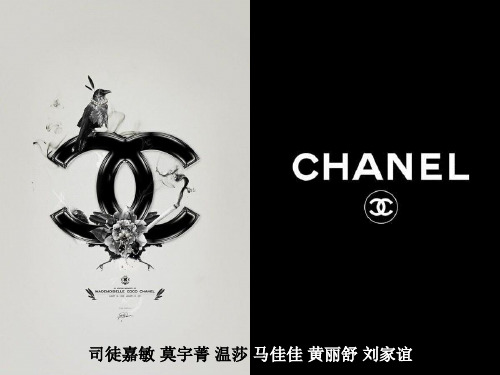 chane市场营销案例分析PPT