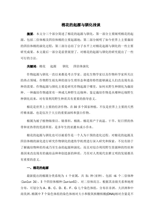 棉花的起源与驯化
