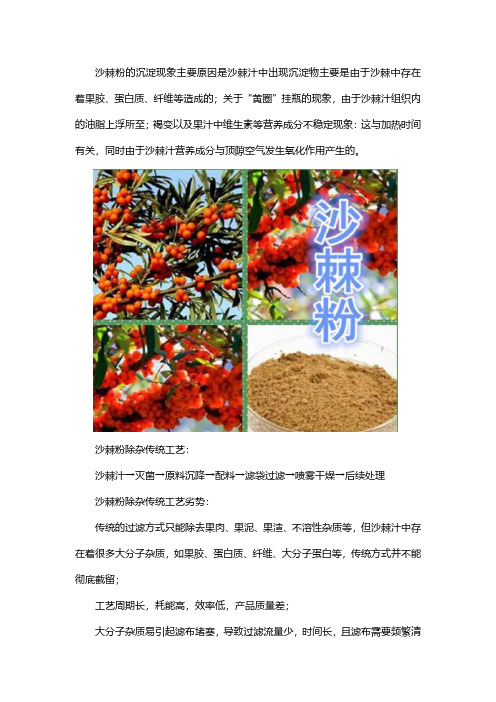 沙棘粉精制除杂