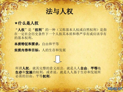 法理学 法与人权 经典PPT