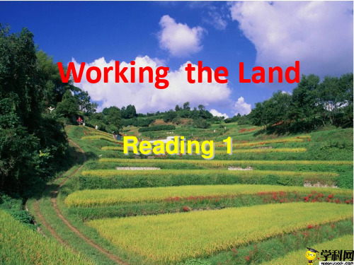 广东省揭阳市第三中学人教版高中英语必修四Unit2Workingtheland——reading1课件(共19张PPT)