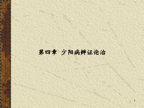 第四篇少阳病辨证论治PPT课件