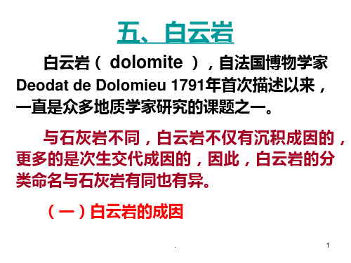 五、白云岩PPT课件